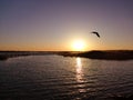 Juyan Lake Basin sunrise Royalty Free Stock Photo